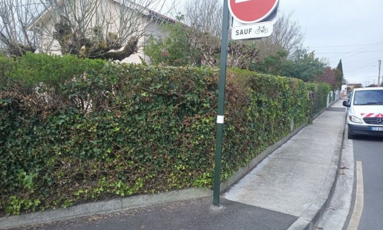 Taille de haies - Beychac-et-Caillau - ARBRE & JARDIN ENVIRONNEMENT