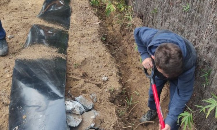 Installation de clôture de jardin, ARBRE & JARDIN ENVIRONNEMENT à Beychac-et-Caillau